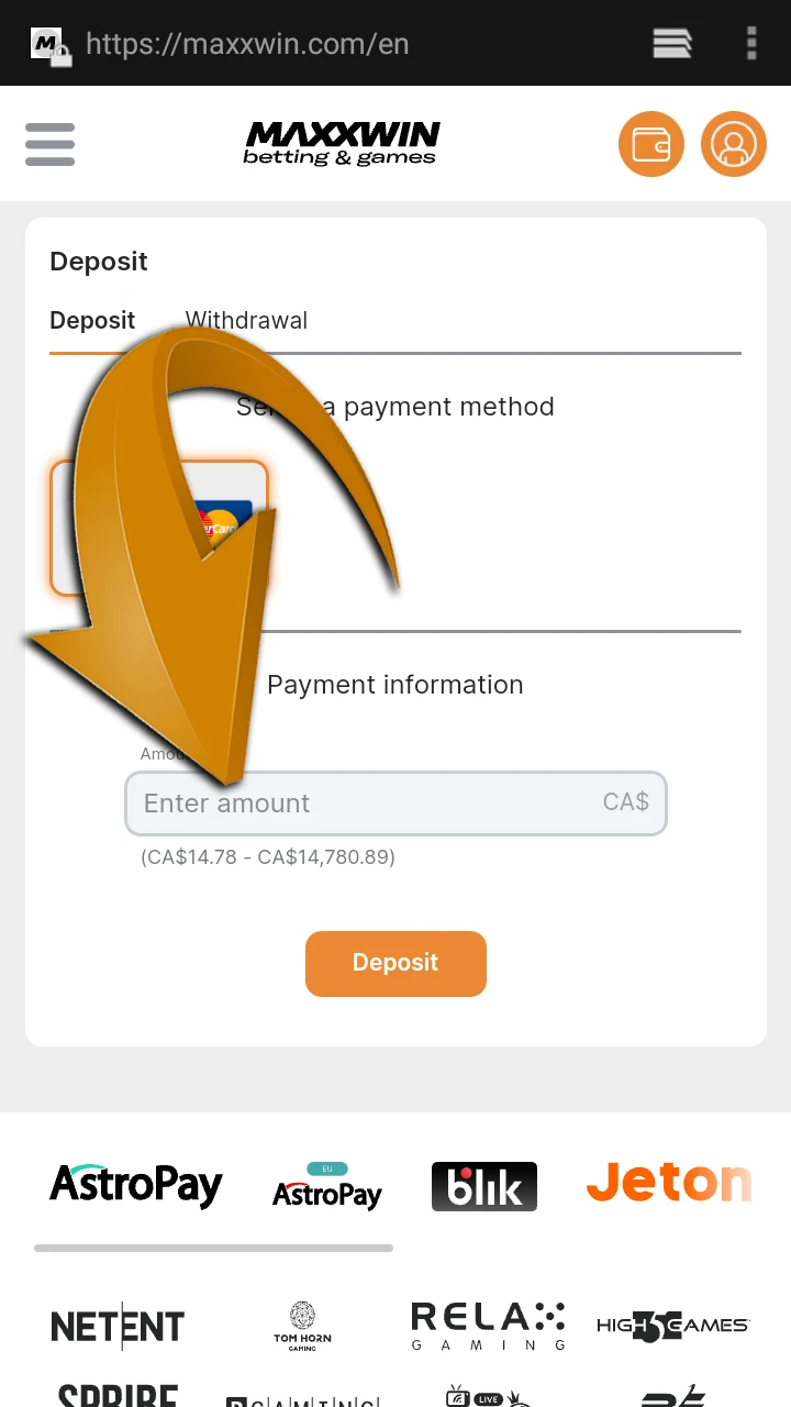 Enter your details on the Maxxwin website and confirm the transaction.