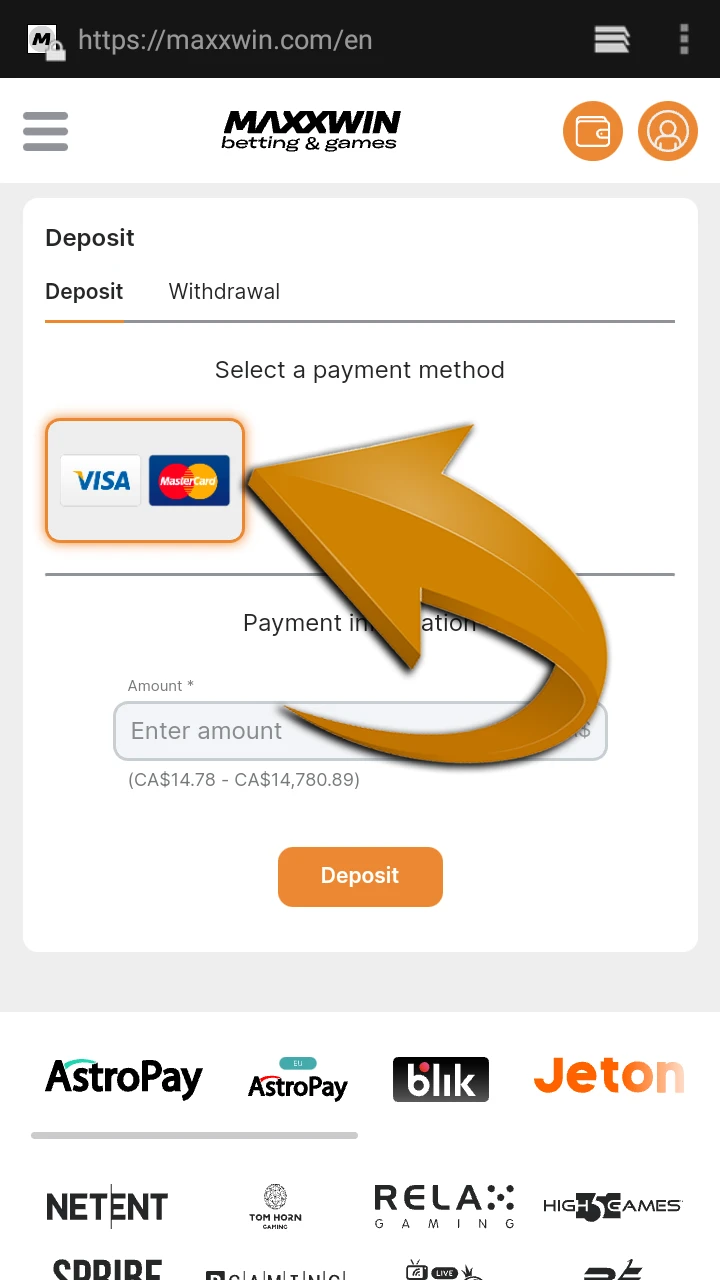 On the Maxxwin website, select the payment method that suits you.