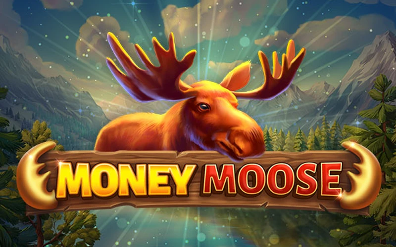 Hunt for your winnings at Cash Moose Maxxwin.